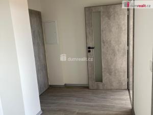 Pronájem bytu 2+kk, Ostrov, Lidická, 50 m2