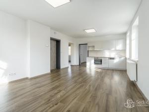 Prodej apartmánu, Krajková, 250 m2