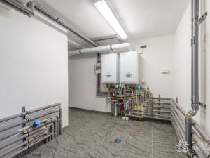 Prodej apartmánu, Krajková, 250 m2