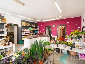 Prodej vícegeneračního domu, Trhové Sviny, Žižkovo náměstí, 340 m2