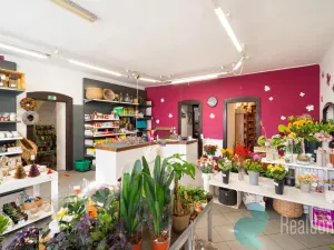 Prodej vícegeneračního domu, Trhové Sviny, Žižkovo náměstí, 340 m2