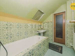 Prodej rodinného domu, Srch, Luční, 500 m2