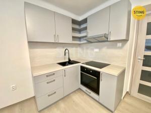 Pronájem bytu 1+kk, Opava - Předměstí, Na Rybníčku, 25 m2