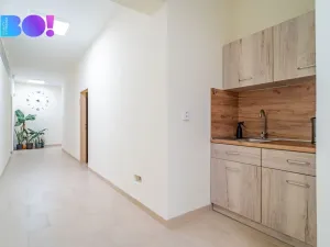 Pronájem kanceláře, Opava, 162 m2