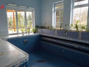 Pronájem rodinného domu, Pětihosty, 350 m2