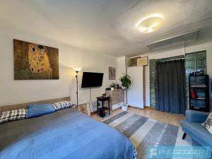 Pronájem bytu 1+kk, Brno, Sýpka, 29 m2