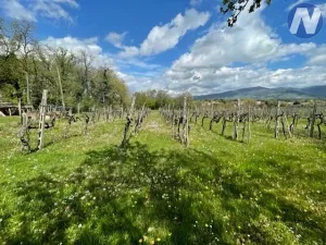 Prodej vily, Monte San Savino, Itálie, 250 m2