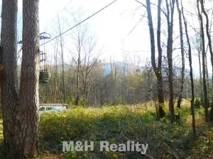 Prodej rodinného domu, Frýdlant nad Ostravicí, Podlesí, 42 m2