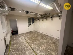 Pronájem skladu, Ostrava, Nemocniční, 86 m2