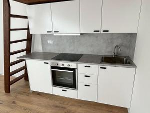 Prodej bytu 1+kk, Ostrava - Přívoz, Palackého, 25 m2