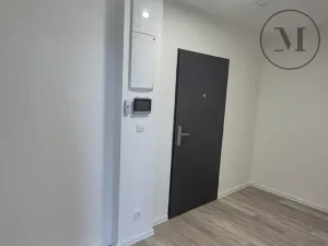 Pronájem bytu 2+kk, České Budějovice, Branišovská, 50 m2