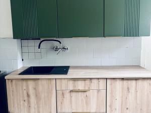 Pronájem bytu 2+1, Ostrava, Budovatelská, 56 m2