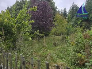 Prodej pozemku pro bydlení, Seč, 2067 m2