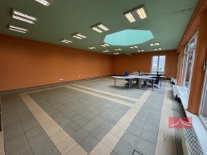 Pronájem skladu, Světlá nad Sázavou, V Polích, 107 m2