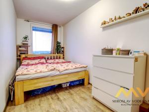 Prodej bytu 4+kk, Hradec Králové - Pražské Předměstí, Jungmannova, 90 m2