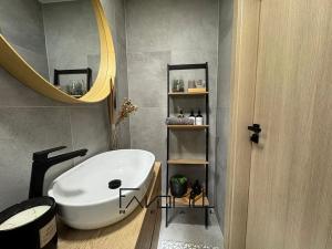 Pronájem bytu 2+kk, Ostrava, Dr. Martínka, 40 m2