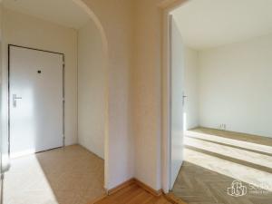 Prodej bytu 1+1, Nové Sedlo, Revoluční, 36 m2