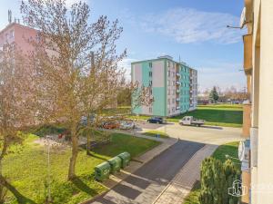 Prodej bytu 1+1, Nové Sedlo, Revoluční, 36 m2