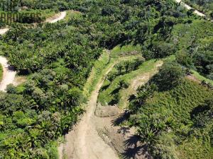 Prodej pozemku, Coxen Hole, Roatán, Honduras, 350 m2