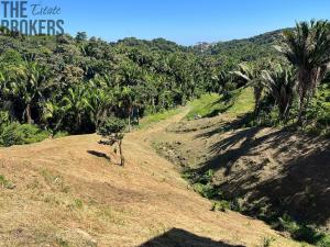 Prodej pozemku, Coxen Hole, Roatán, Honduras, 350 m2