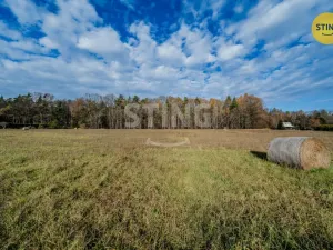 Prodej pozemku pro bydlení, Baška - Kunčičky u Bašky, 1000 m2