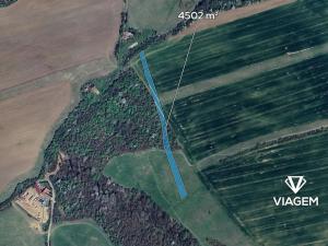 Prodej podílu pole, Boršice, 1500 m2