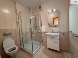 Pronájem bytu 1+kk, Praha - Libeň, Nad Okrouhlíkem, 45 m2