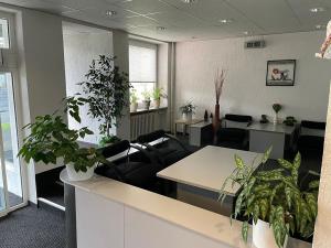 Prodej kanceláře, Litvínov, Ruská, 2216 m2