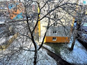 Prodej bytu 1+1, Aš, Žižkova, 37 m2