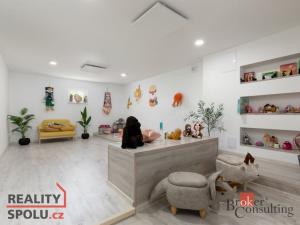 Pronájem bytu 2+kk, Bruntál, Příčná, 55 m2