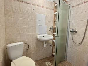 Pronájem bytu 1+kk, Ostrava, Krakovská, 19 m2