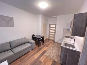 Pronájem bytu 2+kk, Náchod, Žižkova, 40 m2