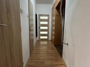 Pronájem bytu 2+kk, Ostrava, Španielova, 55 m2