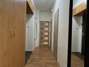 Pronájem bytu 2+kk, Ostrava, Španielova, 55 m2