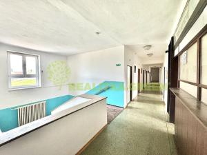 Prodej ubytování, Želetava, Pražská, 1135 m2