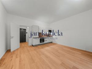 Pronájem bytu 1+kk, Brno, Bratislavská, 36 m2