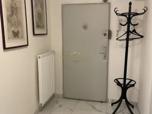 Prodej bytu 1+kk, Praha - Žižkov, Přemyslovská, 38 m2