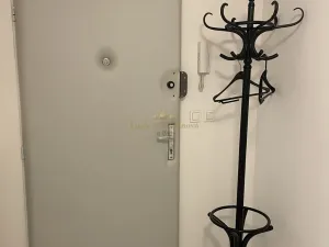 Prodej bytu 1+kk, Praha - Žižkov, Přemyslovská, 38 m2