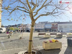 Pronájem kanceláře, Mladá Boleslav - Mladá Boleslav I, Bělská, 118 m2