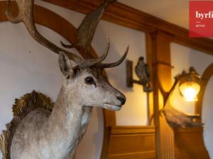 Prodej ubytování, Krnov - Pod Cvilínem, V Zálesí, 820 m2