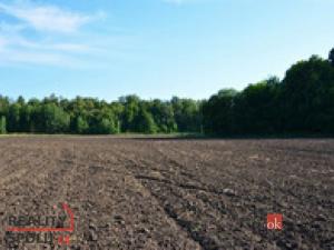 Prodej pozemku pro bydlení, Bohdašín, 1300 m2