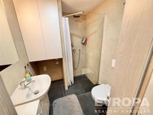 Pronájem bytu 1+kk, Vrchlabí - Hořejší Vrchlabí, Horská, 35 m2