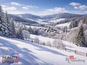 Prodej pole, Bohdašín, 54810 m2