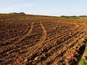 Prodej pole, Bohdašín, 54810 m2