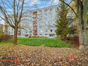 Pronájem bytu 1+1, Vysoké Mýto - Litomyšlské Předměstí, U Potoka, 38 m2