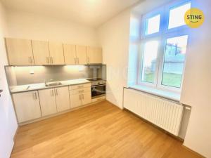 Pronájem bytu 1+1, Opava - Předměstí, Anenská, 40 m2