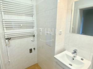 Pronájem bytu 1+1, Opava - Předměstí, Anenská, 40 m2