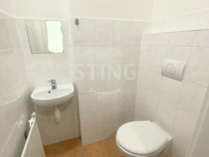 Pronájem bytu 1+1, Opava - Předměstí, Anenská, 40 m2