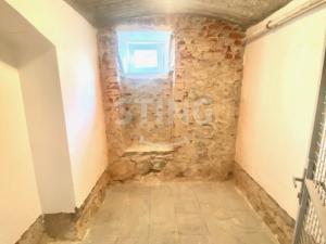 Pronájem bytu 1+1, Opava - Předměstí, Anenská, 40 m2