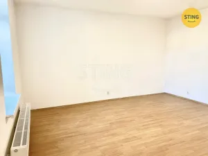 Pronájem bytu 1+1, Opava - Předměstí, Anenská, 40 m2